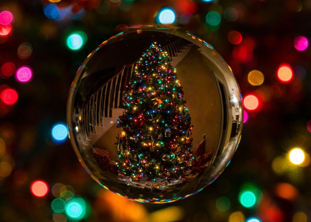 Finding the Perfect Christmas Tree for Your Family